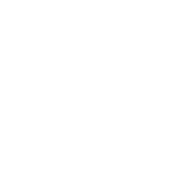 Newtons No Gluten Online Shop